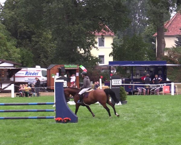 Reitturnier Hannover/Reiterstadion 2022