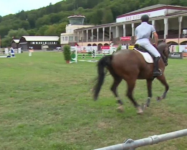 Reitturnier Bad Kissingen/Ufr. 2022
