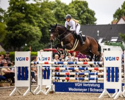 jumper Quincy 218 (Hanoverian, 2011, from FRH Quaid)