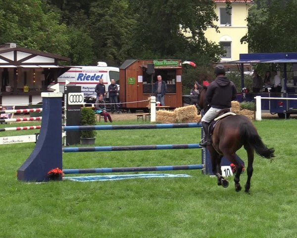 Reitturnier Hannover/Reiterstadion 2022
