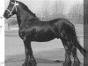 horse Hearke 257 (Friese, 1973, from Mark 232)