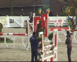 jumper Alter Charmeur (Haflinger, 2003, from Alban)