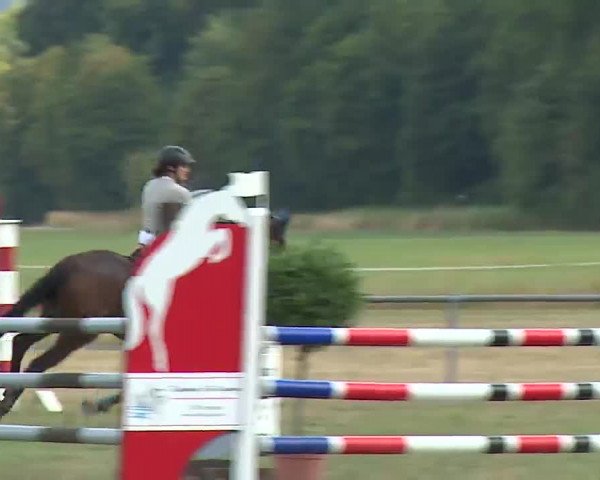 Reitturnier Bad Kissingen/Ufr. 2022