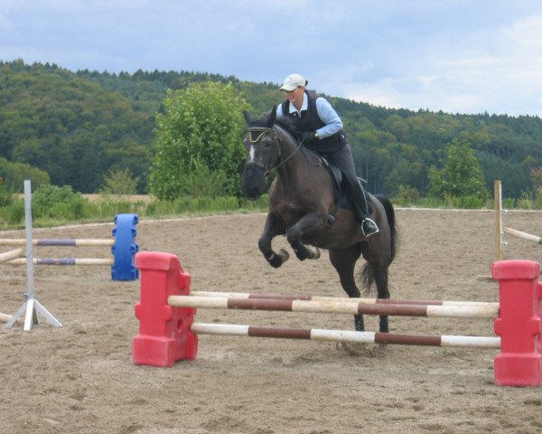 broodmare Fugazi (Bavarian, 1987, from Wolfschatz)