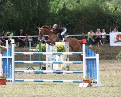 jumper Ustinov (Trakehner, 1999, from Abasko xx)