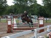 broodmare Cirshi (Trakehner, 2002, from Elkadi II)