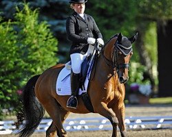 dressage horse Seven MountainNatano (German Warmblood, 2000, from Seven Mountain Natan)