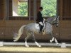 dressage horse Asterix Thuringia (German Sport Horse, 2004, from Asterix Bavaria)