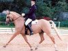 stallion Derano Gold (German Riding Pony, 1987, from Derano)