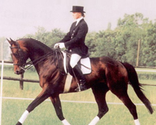 stallion Templer GL xx (Thoroughbred, 1987, from Local Suitor xx)