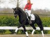 stallion Donnerruf (Hanoverian, 1997, from Donnerhall)