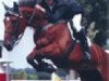 stallion Ezoliet (KWPN (Royal Dutch Sporthorse), 1986, from Zeoliet)