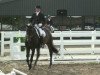 dressage horse Louis le Beau 5 (Westphalian, 2006, from Lord Loxley I)