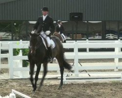 dressage horse Louis le Beau 5 (Westfale, 2006, from Lord Loxley I)