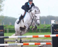 jumper Bastion van Koekshof (Belgian Warmblood, 2001, from Utrillo van de Heffinck)