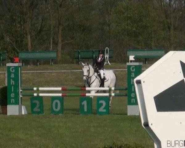 jumper Chanel 326 (Oldenburg, 2000, from Concetto I)