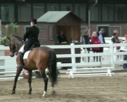 dressage horse El Baylando 2 (Westphalian, 2002, from Ehrenwort)