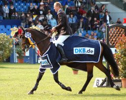 jumper Exclusive (KWPN (Royal Dutch Sporthorse), 2001, from Emilion)