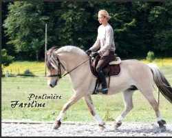 horse Faroline van den Bosdries (Fjord Horse, 2004, from Hildar N.2513)