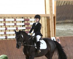 dressage horse Black Pearl (unknown, 2015)