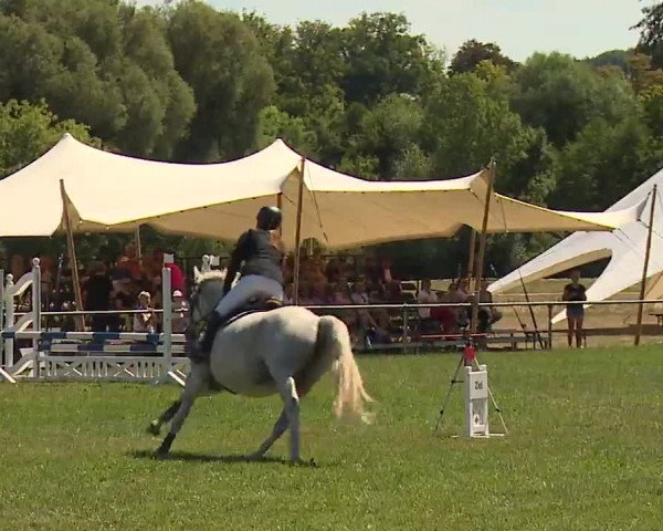 Reitturnier Bad Kissingen/Ufr. 2022