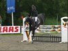 jumper Fly with me 2 (Hanoverian, 2002, from Frenchman I)