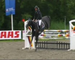 jumper Fly with me 2 (Hanoverian, 2002, from Frenchman I)