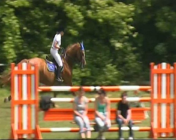 horse Cilian Lopez (Hanoverian, 1998, from Carbid 3)