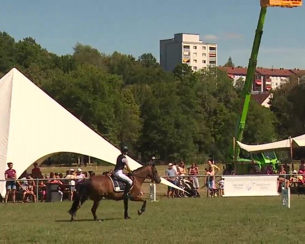 Reitturnier Bad Kissingen/Ufr. 2022