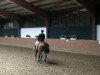 dressage horse Latino Beat (Holsteiner, 1999, from Lacantus)