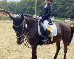 jumper Beauty 592 (German Riding Pony, 2011, from FS Cracker Jack)