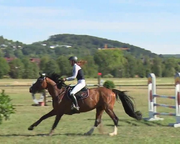 Reitturnier Bad Kissingen/Ufr. 2022