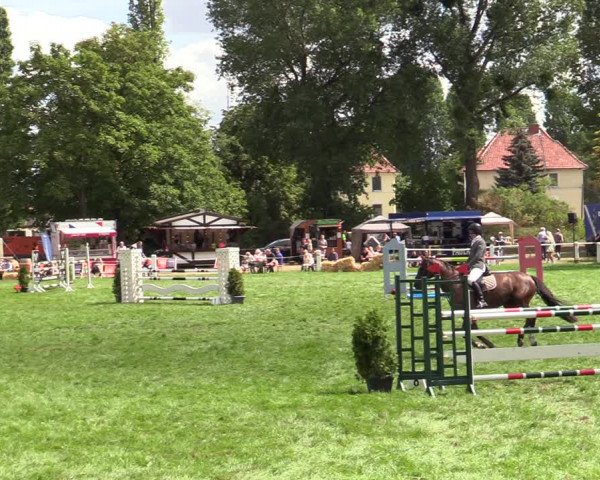 Reitturnier Hannover/Reiterstadion 2022
