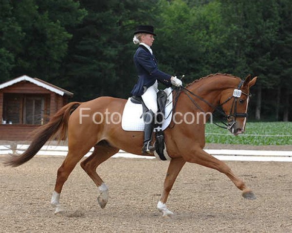 dressage horse William-Fox (Hanoverian, 2000, from Wie Weltmeyer)