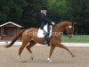 dressage horse William-Fox (Hanoverian, 2000, from Wie Weltmeyer)