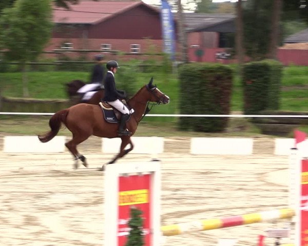 Springturnier Lüdinghausen 2021