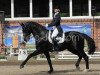 dressage horse Wanito (Hanoverian, 1996, from Warkant)