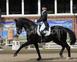 dressage horse Wanito (Hanoverian, 1996, from Warkant)