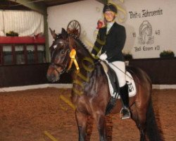 dressage horse Sansalito (Hanoverian, 2005, from Sandro Hit)