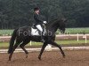 stallion Roman Lifestyle W (Hanoverian, 2000, from Rotspon)