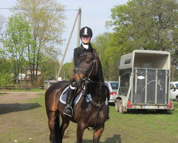 Springpferd Matze (Deutsches Reitpony, 2002, von Marck B.S.)