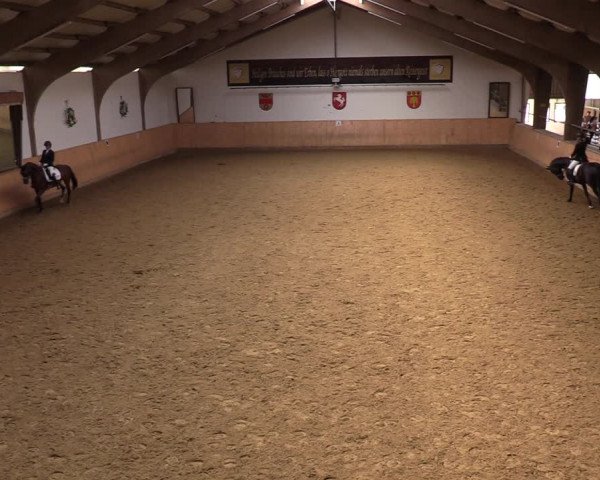 Reitturnier Olfen-Vinnum 2022