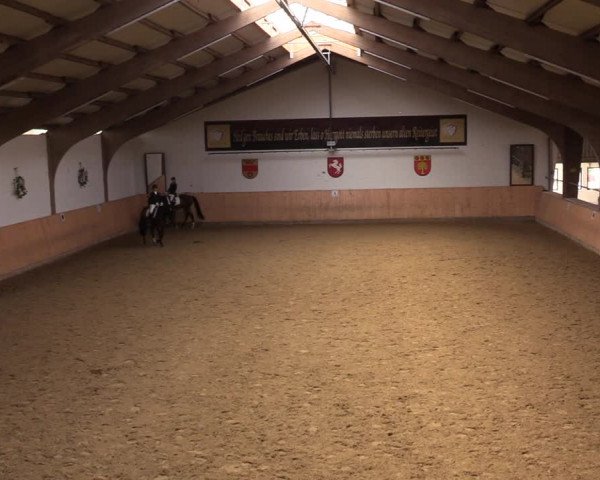 Reitturnier Olfen-Vinnum 2022