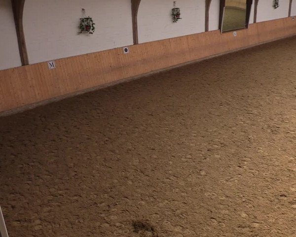 Reitturnier Olfen-Vinnum 2022
