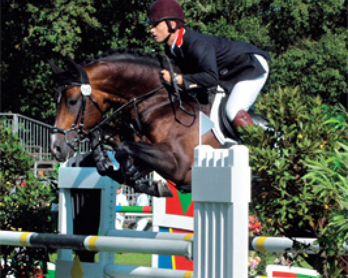 stallion Acordelli (Württemberger, 2000, from Acord II)