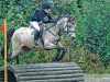 jumper Domino-Dancer (German Riding Pony, 1997, from Darino-Gold)