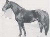horse Disput (Hanoverian, 1967, from Diskant)