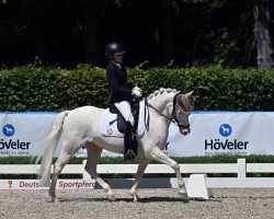 dressage horse Gentle Blue Eyes (German Riding Pony, 2017, from HET Golden Dream)