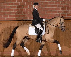 Pferd Hilkens Nougat Cream (Deutsches Reitpony, 2005, von Neckar)