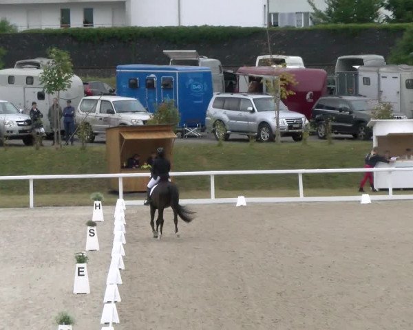 Reitturnier Bülach 2022